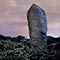 Dry Tree Menhir