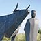 Man and bull