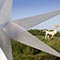sculptures Terrence Coventry