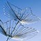 wire birds sculpture